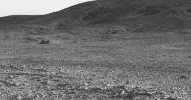 terre vide informe 260527 0
