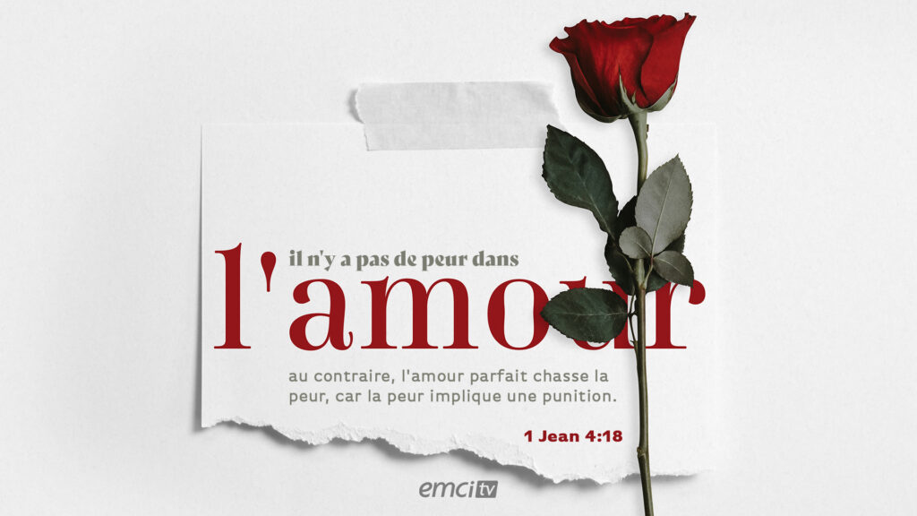 amour 260622 01