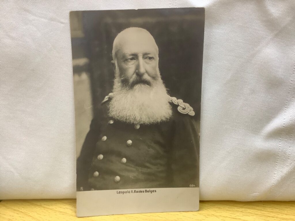 roi leopold 2 260630