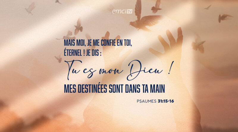 emci 07092026
