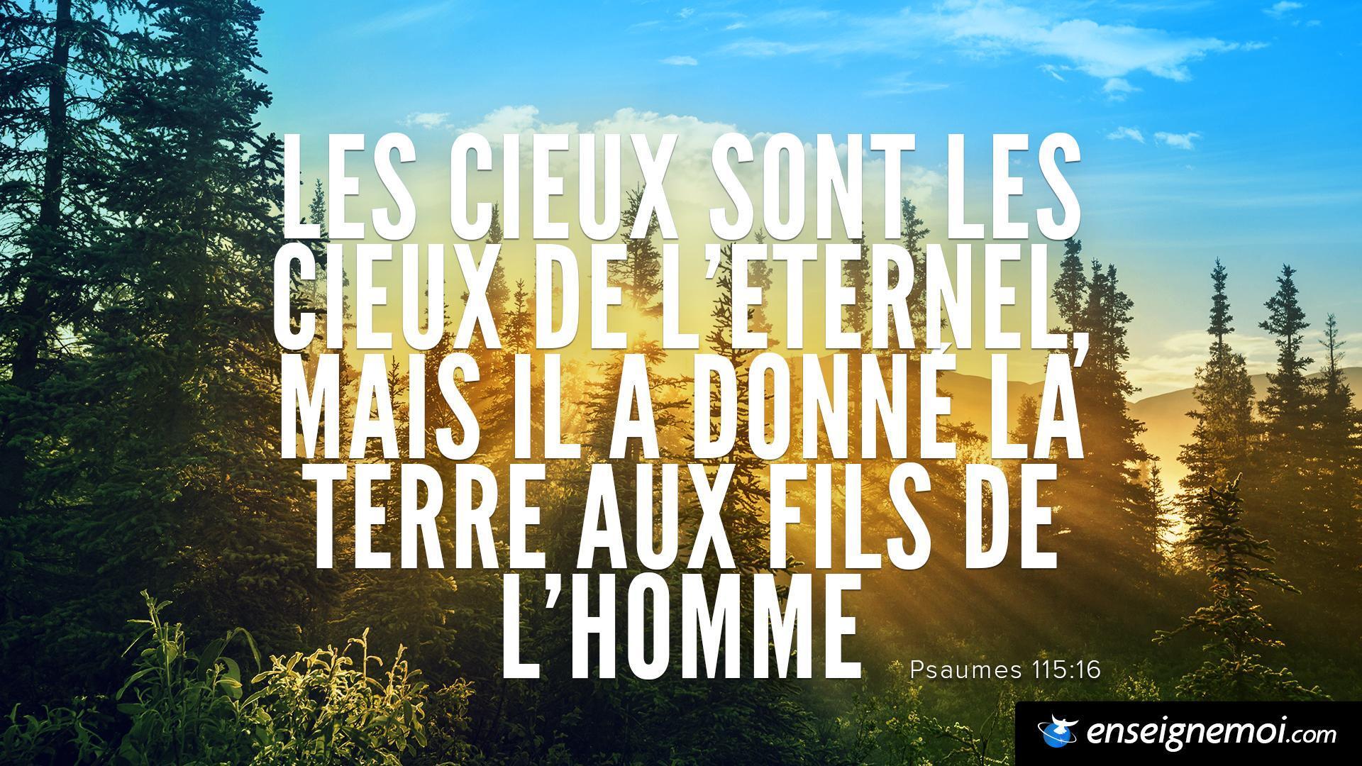La terre nous a été confiée : que faisons-nous de ce que Dieu nous donne ?